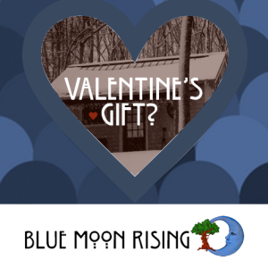 Bluemoon-Valentines-FB3