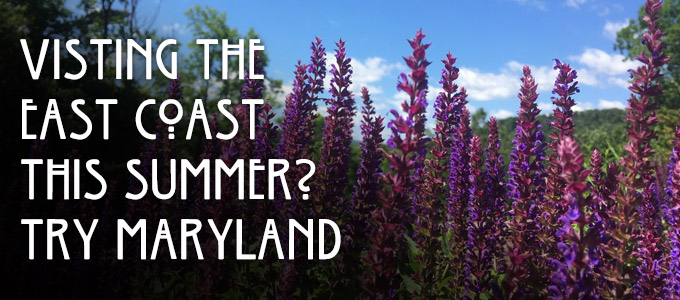places to visit on the east coast in the summer