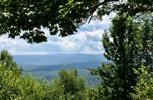 view from hoyes crest