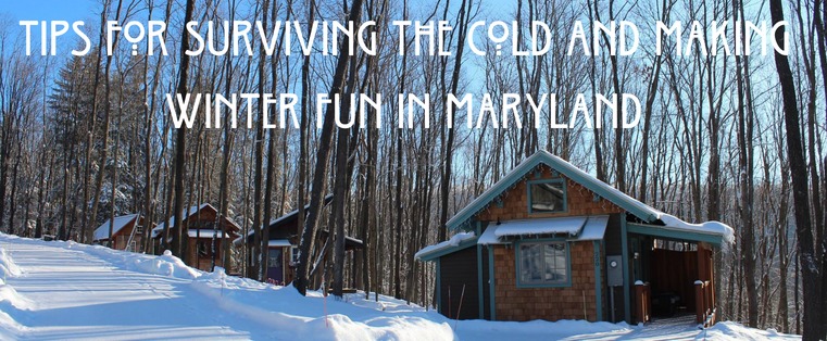 Tips for Surviving the Cold and Making Winter Fun in Maryland